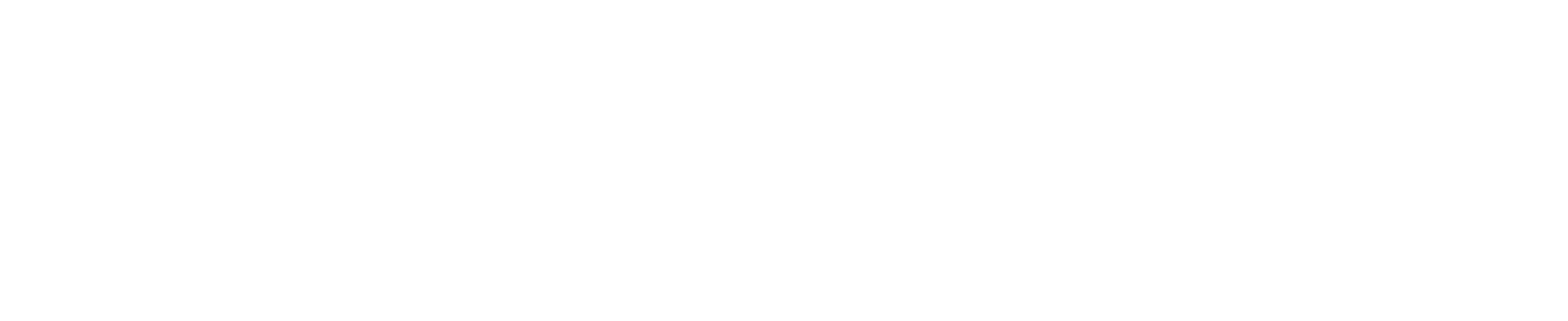 Ferretti blanco fondo transparente